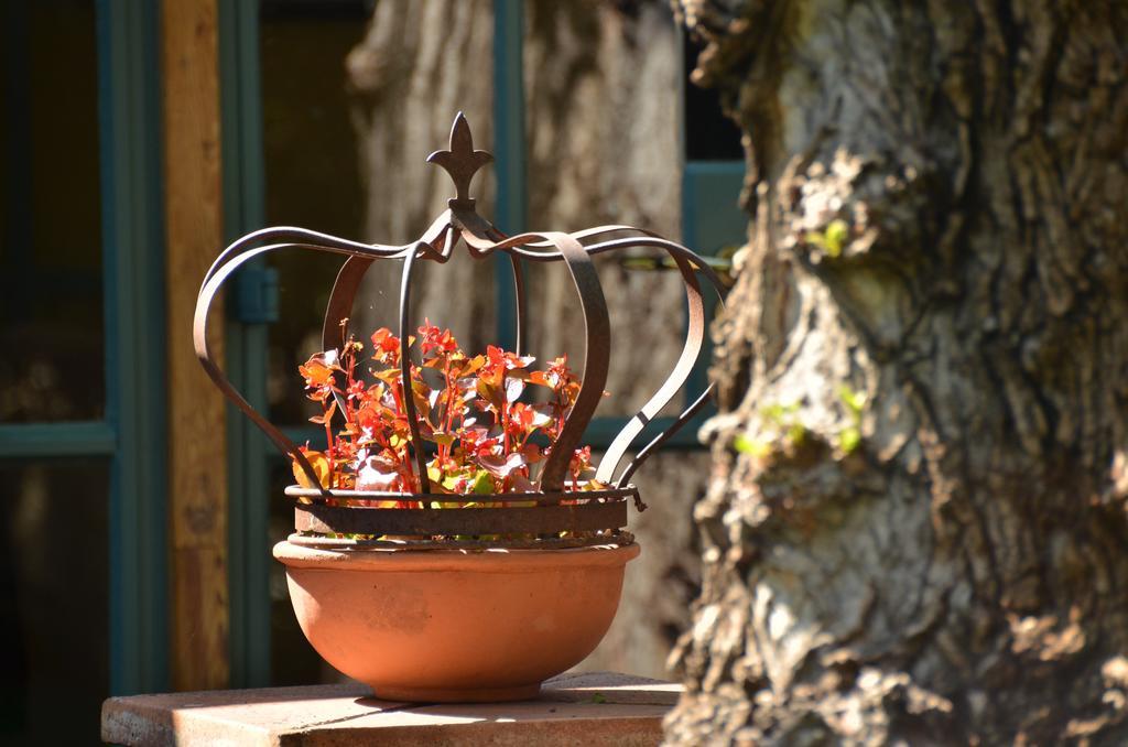 De Hoek Country Hotel Magaliesburg Εξωτερικό φωτογραφία
